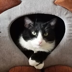 Meet your Posher, Kimberly